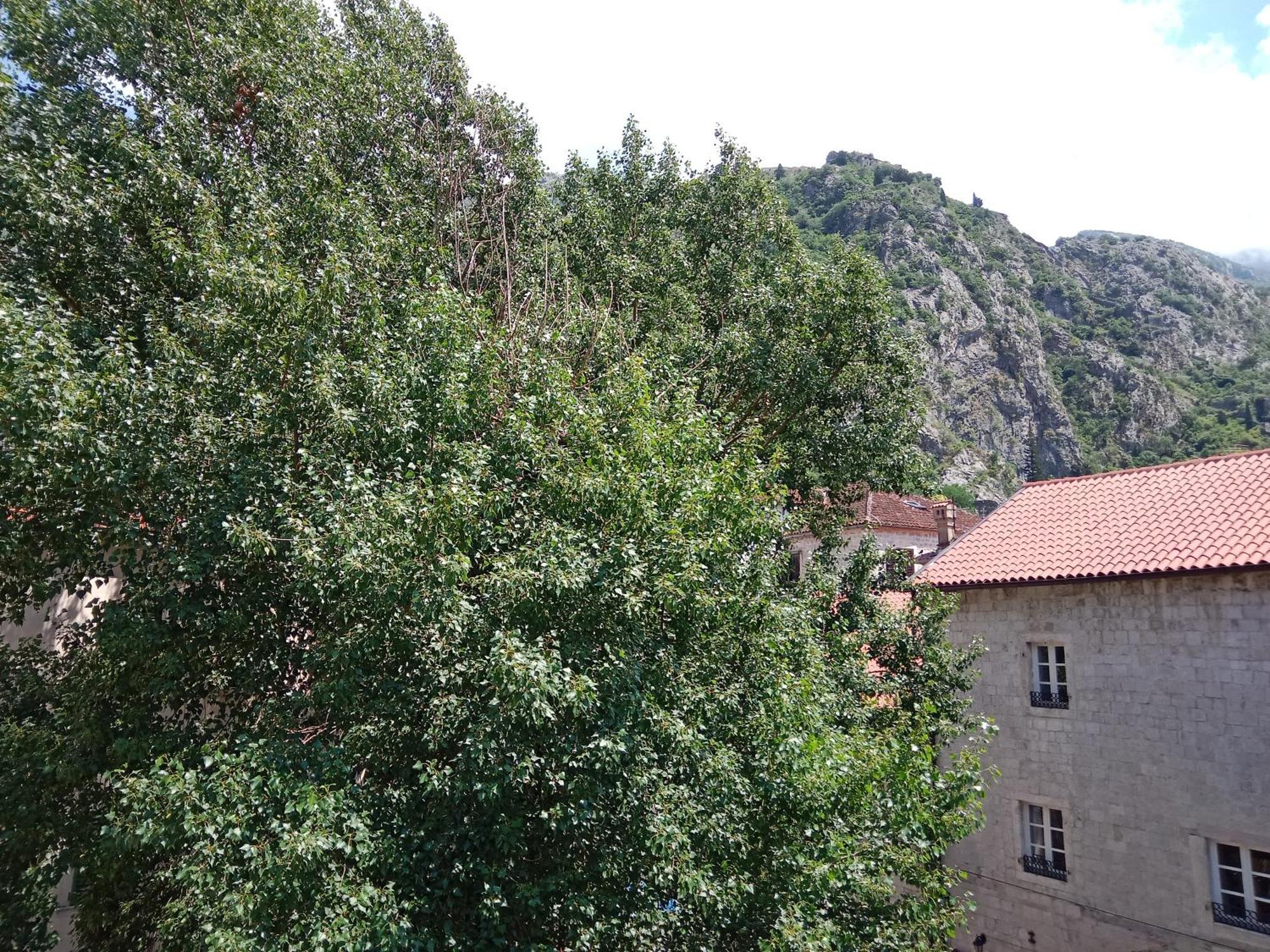 Centar Starog Grada Lägenhet Kotor Exteriör bild